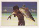 MALDIVES,Islands,Océan Indien,Un Jeune Musulman Porte Un Requin à Pointe Blanche - Maldive