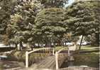 Ain - Pont De Veyle , Promenade De L'eperon , Ed Photo Cim - Non Classés