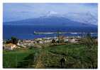 FAIAL, FAYAL - Vista Parcial E O Pico Ao Fundo - AÇORES - AZORES - Açores