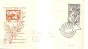 48315)lettera F.d.c. Rep. Ceca Serie Postale Con Un Valore + Annullo - FDC