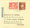 Suisse - Imprimé De 1960 - Entier Postal - Bande Pour Journeaux - Fleurs - Petit Format - Lettres & Documents