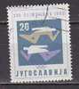 PGL - YUGOSLAVIE Yv N°811 - Used Stamps