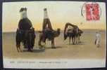 ALGERIE - SIDI BEL ABBES / 1910 CARTE POSTALE POUR L ALSACE (ref 821) - Covers & Documents