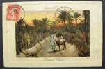 ALGERIE - SIDI BEL ABBES / 1910 CARTE POSTALE POUR L ALSACE (ref 819) - Storia Postale