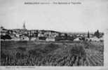 MEURSAULT : (21) Vue Générale Et Vignoble - Meursault