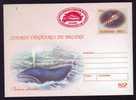 WHALE BALEINE- Hunting,entier Postal Stationery 190/2003,PMK Red Rare, BUCHAREST  2003 - Romania - Wale