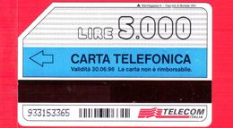 ITALIA - Scheda Telefonica - SIP - Usata - Telefonino - C&C 2428 - Golden 353 - 0.000 - 30.06.96 - Man - Öff. Sonderausgaben