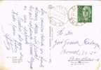 Postal ELCHE (Alicante) 1965. Palmera Imperial - Cartas & Documentos