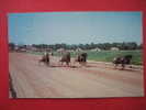 Horse Racing  -----   Harness Racing Southern Pines NC   --Early Chrome   ----------=========== (ref126) - Andere & Zonder Classificatie