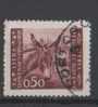 A-270   TRIESTE B ITALIA JUGOSLAVIJA SLOVENIA LITORALE FIUME USED  INTERESSANTE - Donkeys