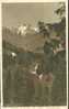 CANADA - Capilano Valley And The Lions, Vancouver BC - Old Unused Postcard [P2402] - Vancouver