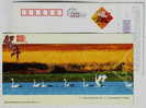 Neimenggu Desert Wetland,rest Station For Swan Bird Migration,China 2008 Neimenggu New Year Greeting Pre-stamped Card - Zwanen
