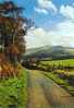 Brecon Beacons National Park, Powys - Approach Road To The Mauntain Centre, Mynydd Illtud - Breconshire