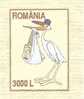 ROMANIA. Bird, Stork Postal Stationery Cover 2003 - Cigognes & échassiers