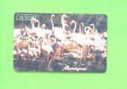 TANZANIA  - Chip Phonecard/Birds - Flamingoes - Tansania