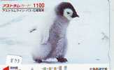 Télécarte Japon * Oiseau * Pingouin (833) MANCHOT * PENGUIN * BIRD * PHONECARD JAPAN * PINGUIN * VOGEL * - Pinguins