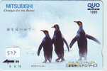 Télécarte Japon * Oiseau * Pingouin (837) MANCHOT * PENGUIN * BIRD * PHONECARD JAPAN * PINGUIN * VOGEL * MITSUBISHI - Pinguïns & Vetganzen