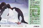 Télécarte Japon * Oiseau * Pingouin (839) MANCHOT * PENGUIN * BIRD * PHONECARD JAPAN * PINGUIN * VOGEL * - Pingouins & Manchots