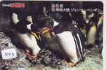 Télécarte Japon * Oiseau * Pingouin (843) MANCHOT * PENGUIN * BIRD * PHONECARD JAPAN * PINGUIN * VOGEL * - Pinguins