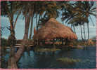 Palapa A Tahiti.   CP Neuve -  (Tahitian Scenery) - Polinesia Francesa