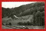 * Environs D´OFFENBOURG-Ferme De La Forêt Noire-1956 - Offenburg