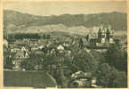 OFFENBURG - Panorama De La Ville - Rhin Et Danube - 2 Scans - Offenburg