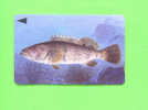 BAHRAIN - Magnetic Phonecard/Fish - Baharain