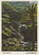 (CANA1477) LA GOMERA. CHEJELIPES - Gomera