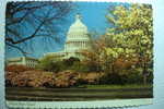 Washington - United States Capitol - Washington DC