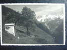 Engelberg - Ferien  1928  -  Carte Photo - Engelberg