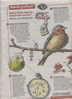 Page Coop Theme Oiseau Sommeil - Andere & Zonder Classificatie