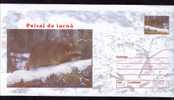 Romania 2001 COVER  With Animal Rodents MARTES . - Nager