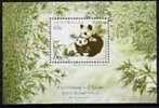 Australia 1995 Rare Animal Stamp S/s- Panda Bear Fauna Bamboo Joint With China - Ungebraucht