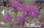 # ANDORRA 8 Flore - Iris 100 Sc5 12.92 20000ex -fleurs,flowers- Tres Bon Etat - Andorre