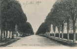 CROISSY - Avenue Des Tilleuls (1890) - Croissy-sur-Seine