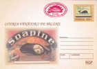 BALEINE Entier Postal, Oblitération Rouge Concordante 2003 – WHALE Stationery Cover With Special Cancel - In Red - Baleines