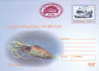 BALEINE Entier Postal, Oblitération Rouge Concordante 2005 – WHALE Stationery Cover With Special Cancel - In Red - Wale