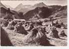 74.400/  LES CONTAMINES - Vue Générale (cpsm N°86) - Les Contamines-Montjoie