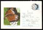 BIRDS 1973 RARE STATIONERY COVER ,ROMANIA. - Galline & Gallinaceo