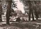 Indre Et Loire - Amboise , Le Camping Au Bord De La Loire Et Vue Vers Le Chateau , Ed Photo Greff - Amboise