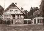 Vosges - Etival Clairefontaine Colonie Des Pupilles De La Moselle , Ed Photo Jaeger De Metz Montigny - Etival Clairefontaine