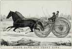 Horse Race S-t-a-m-p-ed Card 1277-1 - Reitsport