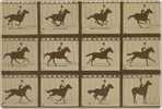 Horse Race S-t-a-m-p-ed Card 1277-1 - Hippisme