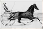 Horse Race S-t-a-m-p-ed Card 1277-1 - Reitsport