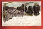 L132 Bruxelles Brussels,Multi-vues,Litho Avec Effets Brillants,léger Pli Angle Sup. Droit.Précurseur.Cachet 1902 - Panoramische Zichten, Meerdere Zichten