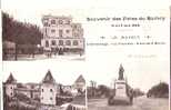 93 VILLEMOMBLE Souvenir Des Fêtes Du  RAINCY 6 Et 13 Juin 1909L´Hermitage - Les Tourelles - Place De Mairie Carte Privée - Villemomble