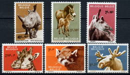 Belgique 1961 MiNr. 1242 - 1247  Belgien Animals Zoo 6v MNH** 10,00 € - Rinoceronti