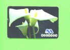 BULGARIA - Chip Phonecard As Scan - Bulgarien