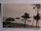 Delcampe - Carantec - L'ile Louet Et Le Chateau Du Taureau - Carantec