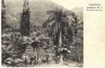 AMERIQUE - CASTLETON   -  JAMAICA  W.  I.  -  -  PRECURSEUR - Jamaica